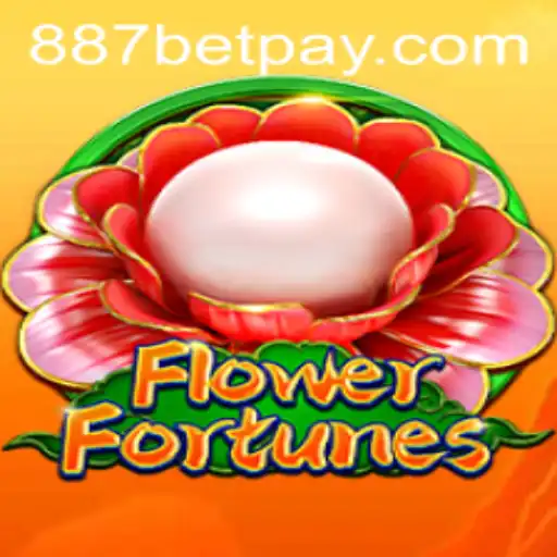 887bet Casino App